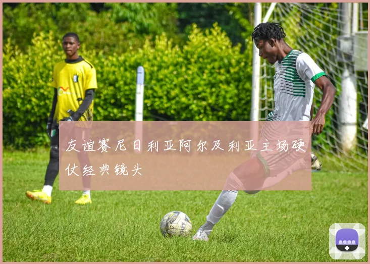 友谊赛尼日利亚阿尔及利亚主场硬仗经典镜头