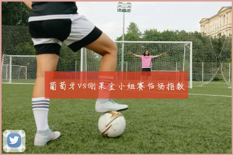 葡萄牙vs刚果金小组赛临场指数
