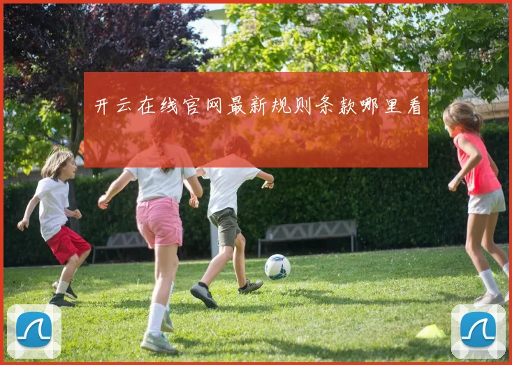 开云在线官网最新规则条款哪里看