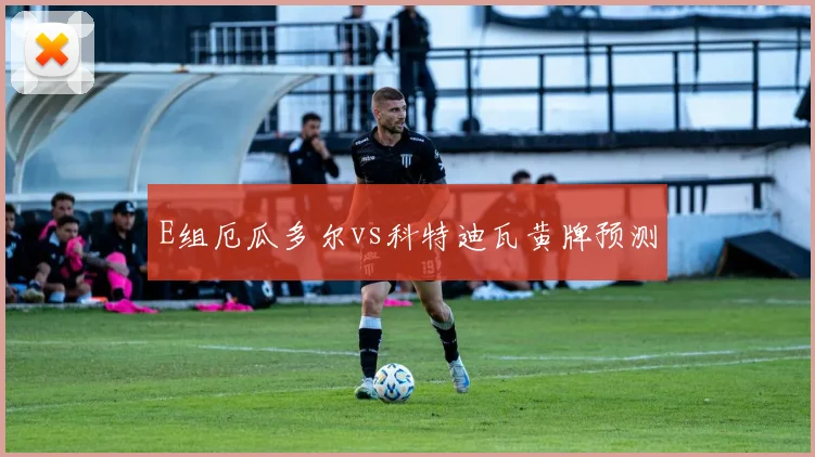 E组厄瓜多尔vs科特迪瓦黄牌预测