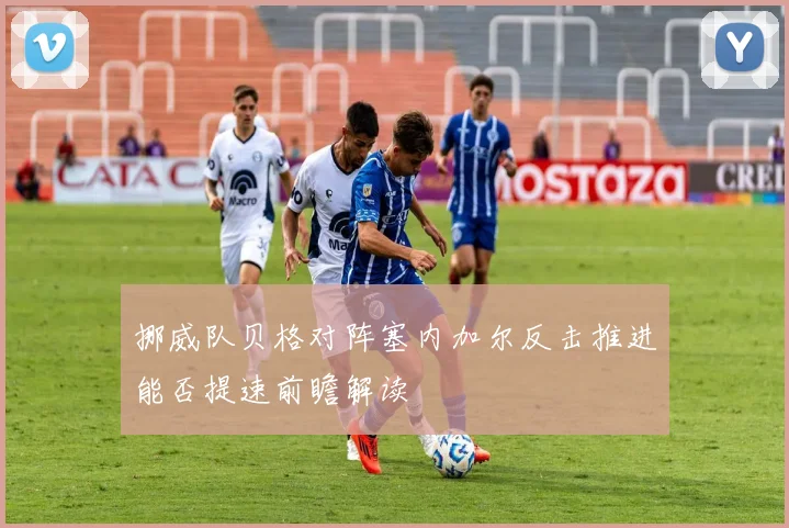 挪威队贝格对阵塞内加尔反击推进能否提速前瞻解读