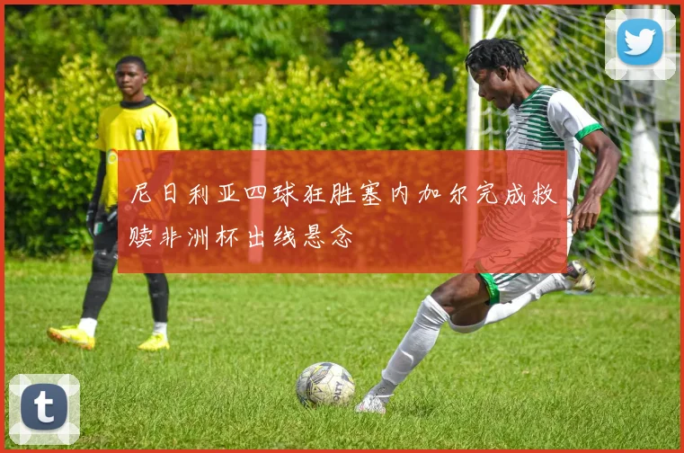 尼日利亚四球狂胜塞内加尔完成救赎非洲杯出线悬念