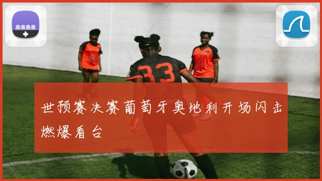 世预赛决赛葡萄牙奥地利开场闪击燃爆看台