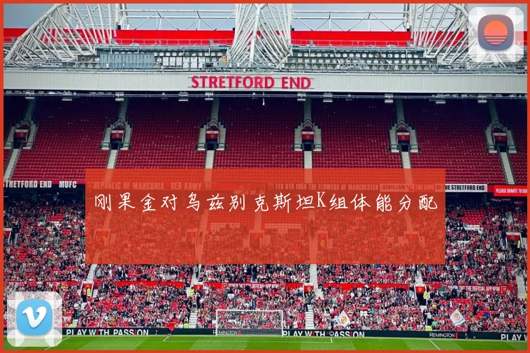刚果金对乌兹别克斯坦K组体能分配