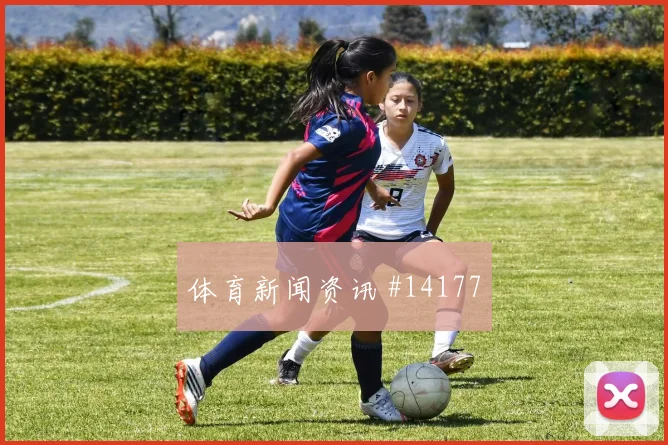 土耳其队云代尔对阵巴拉圭节奏变化能否破局数据参考